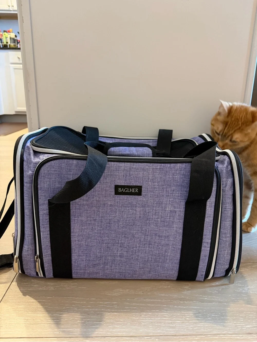 Portable Black Cat Carrier Soft-Sided Pet Travel Bag
